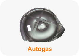 Autogas-Dichtheitskontrolle